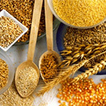 Grain Diet