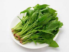菠菜减肥