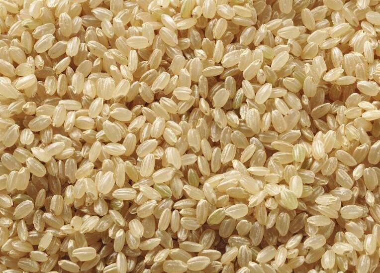 瘦身食材糙米