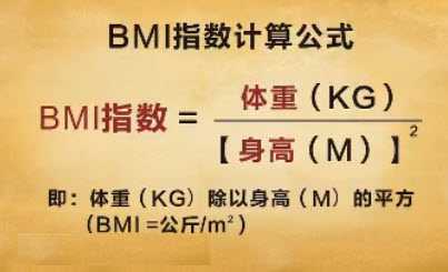 了解身体bmi指数