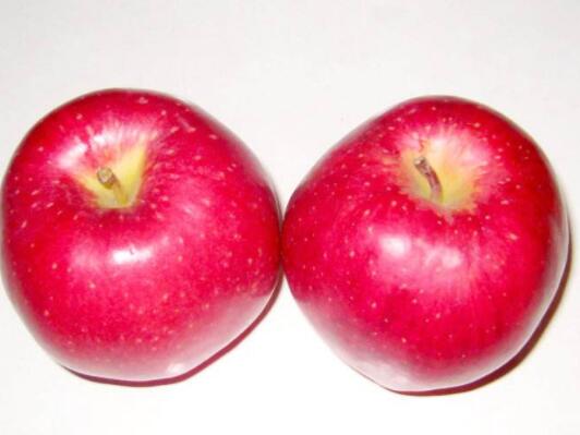 一周暴瘦五斤的苹果减肥法
