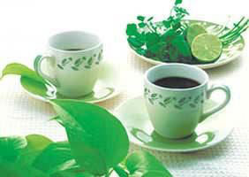 排毒喝什么茶最好 玉盘葫芦茶