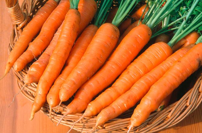 吃胡萝卜能减肥吗